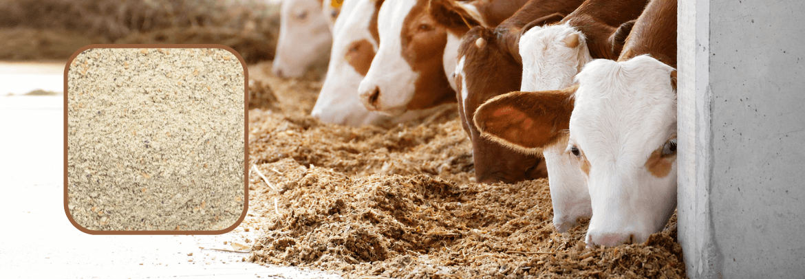 Guar Meal Churi in Cattle Feed - Durga Enterprises