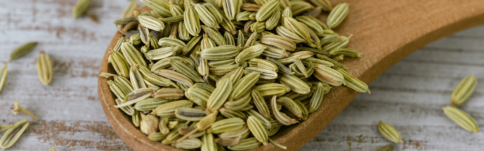 Fennel Seeds (Saunf) - Durga Enterprises