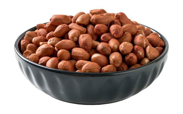 Groundnut Kernels 2 Groundnut Kernels