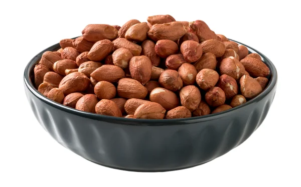 Groundnut Kernels 2 Groundnut Kernels