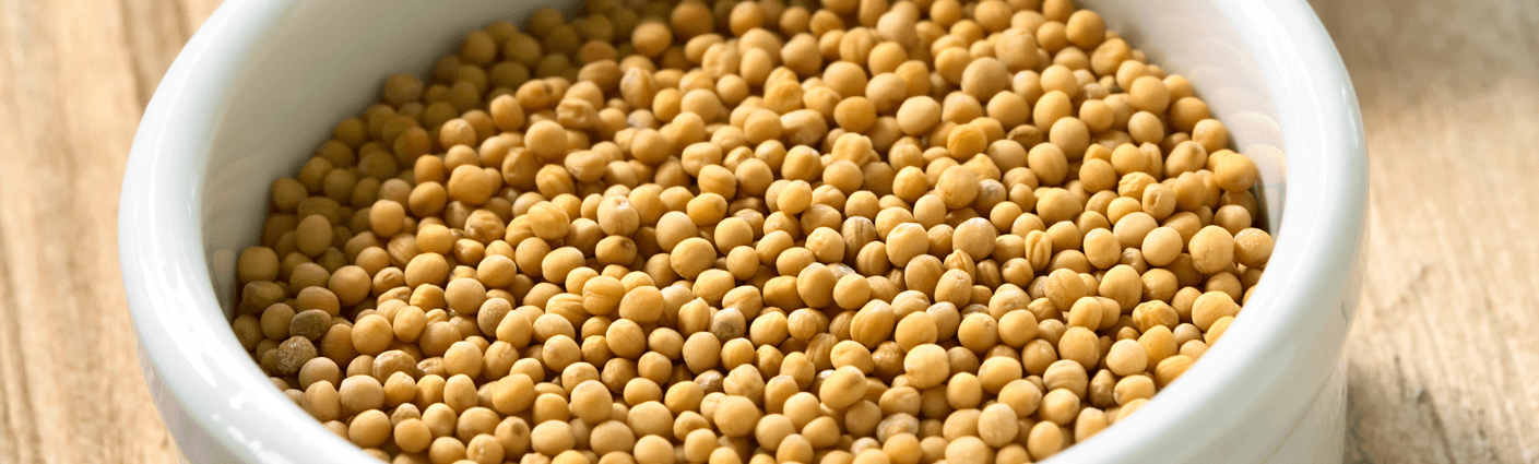 Yellow Mustard 1 Yellow Mustard Seeds - Durga Enterprises