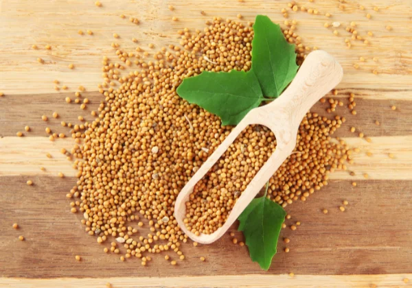 yellow mustard seeds