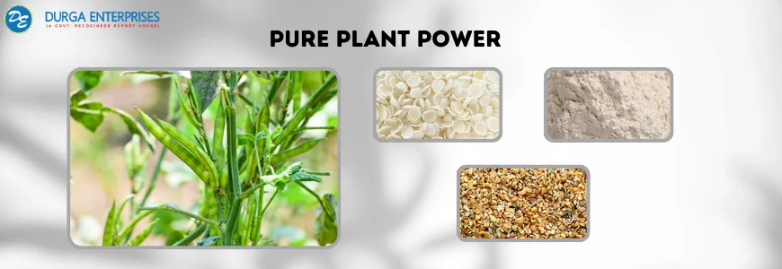 Guar Gum