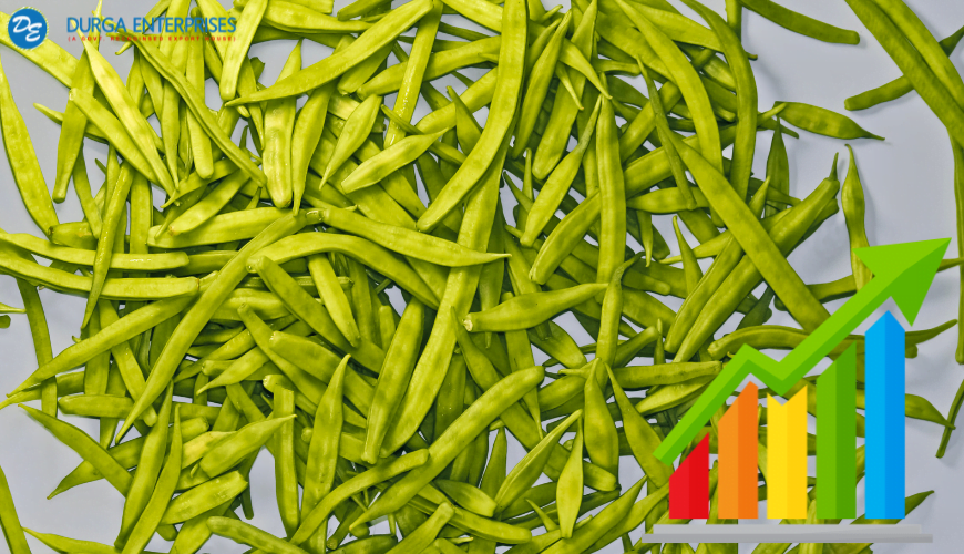 Guar Gum Market: Trends, Forecasts, and Insights in the Growing Industry 2 Guar Gum Market