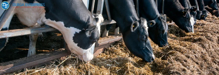 guar gum in animal food