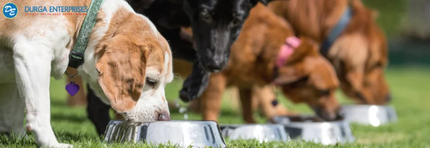 guar gum in pet food