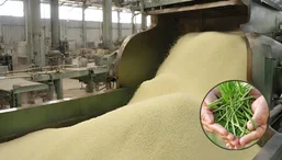 Guar Gum Production