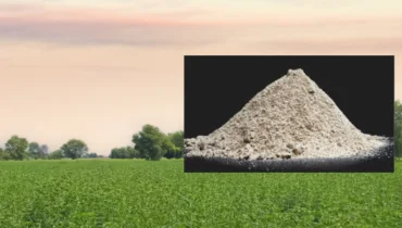Guar Gum Churi