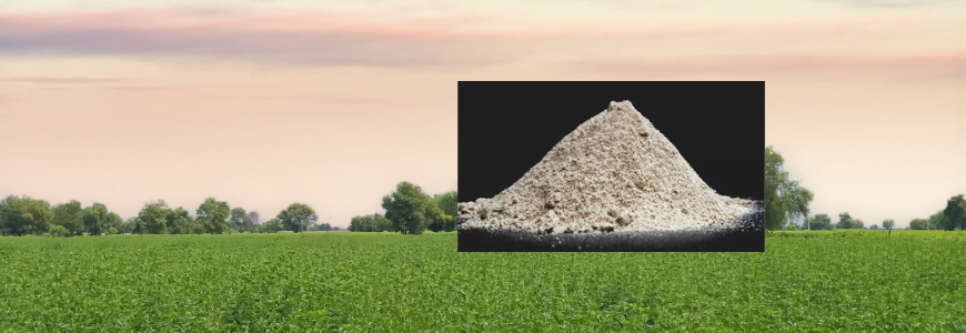 Guar Gum Churi: The All-Natural Solution For Animal Feed Guar Gum Churi