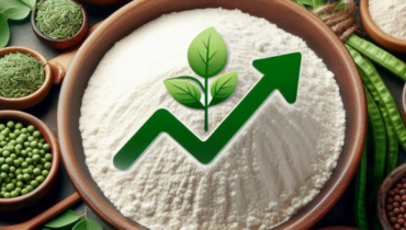 Growth of Guar Gum Market