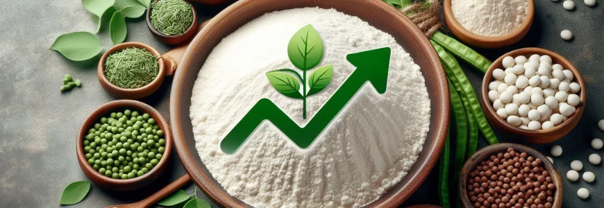 The Booming Guar Gum Market Growth of Guar Gum Market