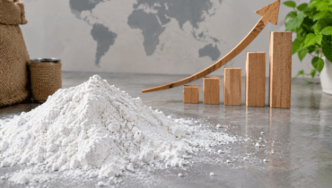 Guar Gum Market Growth