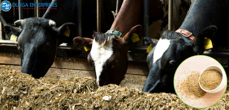The Role of Guar Meal Korma in Eco-Friendly Livestock Feeding 1 Guar Meal Korma - Durga Enterprises