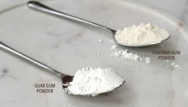Guar gum vs xanthan gum powders shown side by side for comparison