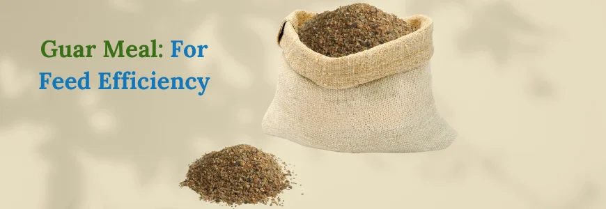 Guar Protein Meal - Durga Enterprises