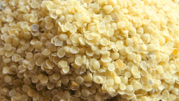 Guar Gum Splits - Durga Enterprises