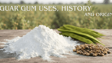 Guar gum uses with guar pods, guar seeds, and guar gum powder on wooden surface against green field, highlighting history and origin.