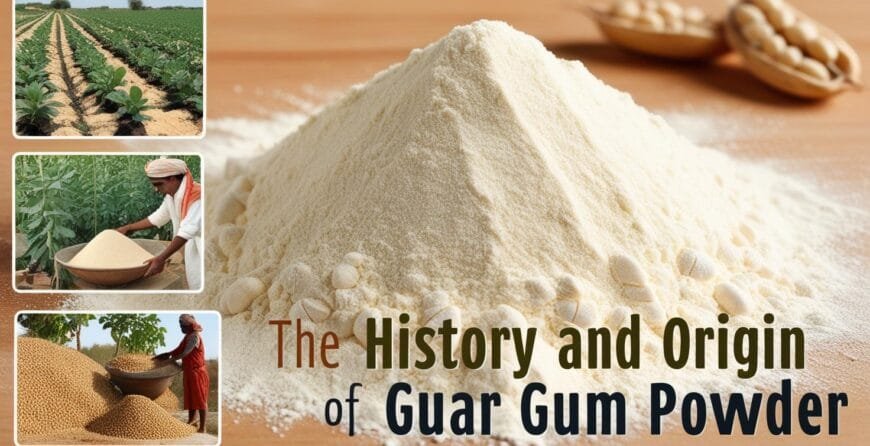 Guar Gum Uses - Durga Enterprises