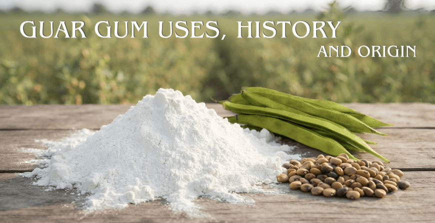 Guar gum uses with guar pods, guar seeds, and guar gum powder on wooden surface against green field, highlighting history and origin.