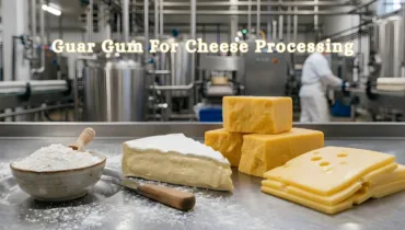 Guar Gum in Cheese - Durga Enterprises