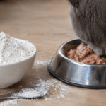 Guar gum in cat food - Durga Enterprises